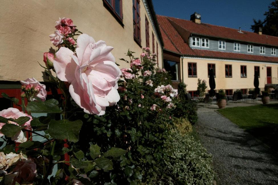 Hotel Kongensbro Kro Ans 外观 照片